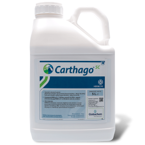 Carthago SC 5l (diflufenikan , flufenacet ) Globachem - środek chwastobójczy