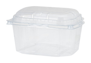 Pojemnik na owoce plastikowy z wieczkiem 250g - 1 sztuka