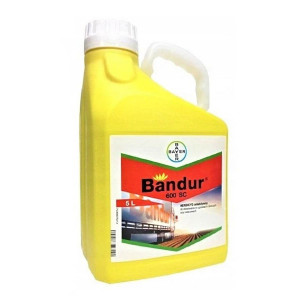 Bandur 600 SC 5l (aklonifen) Bayer - herbicyd