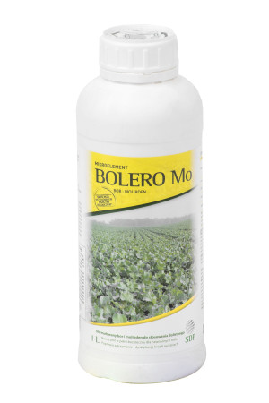 Bolero Mo 1L