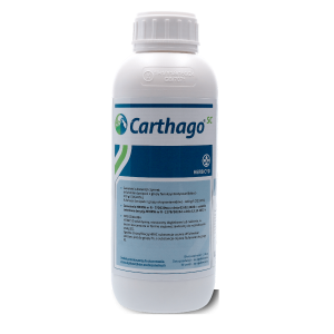 Carthago SC 1l (diflufenikan , flufenacet ) Globachem - środek chwastobójczy