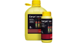 Caryx 240 SL 1L (chlorek mepikwatu, metkonazol) - regulator wzrostu i preparat grzybobójczy do uprawy rzepaku