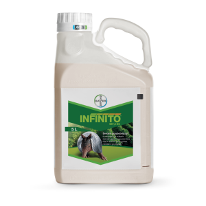 Infinito 687.5 SC (chlorowodorek propamokarbu, fluopikolid) 5l - środek grzybobójczy do upraw warzywnych