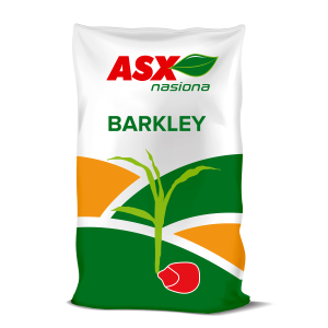 Nasiona kukurydzy Barkley C1 FAO 250 50 tys nasion