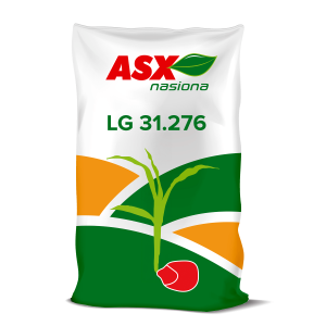 Nasiona kukurydzy LG 31.276 C1 FAO 250-260 50 tys nasion