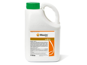Maxim 025 FS (fludioksonil) 5L - zaprawa do nasion o szerokim zastosowaniu