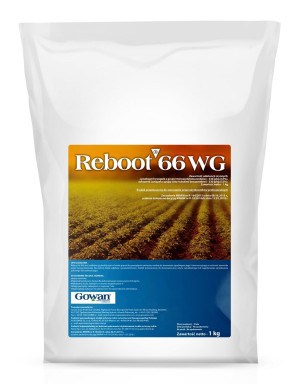Reboot 66 WG 1kg