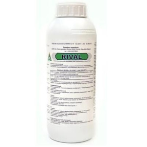 RIVAL 1L