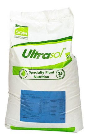 Nawóz Ultrasol PROP Blueberry Borówka NPK 15-7.5-19 + 3MgO + mikro 25kg