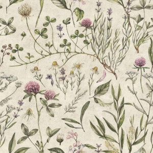 Tapeta Vintage Illustration