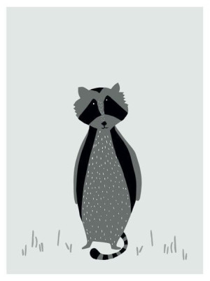 Mr.Raccoon Plakat