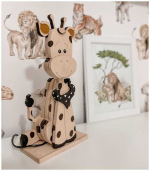 product photo