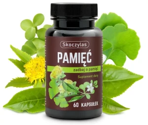 PAMIĘĆ miłorząb, bakopa, ginkgo biloba, różeniec - Marek Skoczylas suplementy i witaminy 