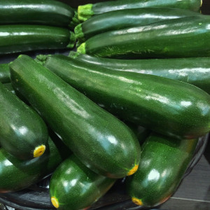 W1032 CUKINIA WCZESNA KSZTAŁTNA BEZ CENTKOWANIA BLACK BEAUTY Cucurbita pepo L. 5G