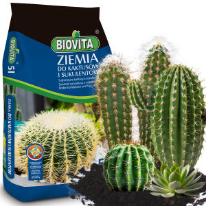 BIO10 PODŁOŻE ZIEMIA DO KAKTUSÓW I SUKULENTÓW ALOESU PRZEPUSZCZALNA 5L biovita