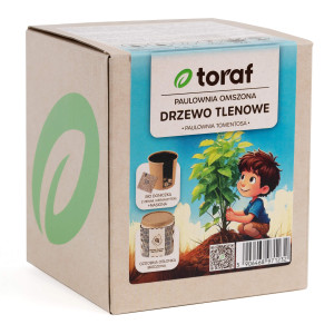D1232 DRZEWO TLENOWE PAULOWNIA OMSZONA TORAF OXYGEN TREE ZESTAW Z DONICZKĄ