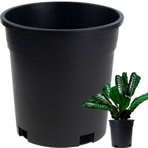 TG72940 DONICZKA PRODUKCYJNA WYSOKA P14 1,5L OKRĄGŁA ROZSADOWA Z RANTEM 14X14CM