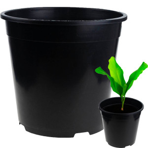TG72941 DONICZKA PRODUKCYJNA DONICZKI P24 7,5L OKRĄGŁA ROZSADOWA Z RANTEM 24X24CM