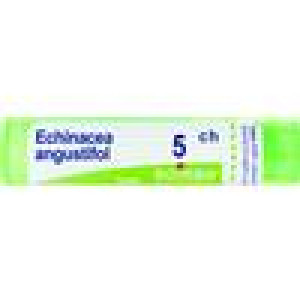 BOIRON Srl ECHINACEA ANGUS.Tubo  5CH