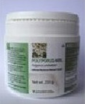 ANEID ITALIA Srl POLYPORUS MRL 90 Cpr