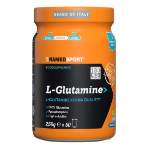 NAMEDSPORT Srl L-GLUTAMINE Polv.250g NAMED