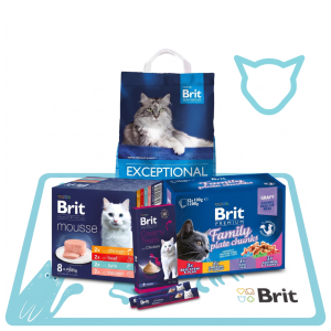 Pakiet Wakacyjny Premium Cat: Brit Chunks in Gravy 12x100g + Brit Mousse Mix 8x85g + przysmak + żwirek 5l i mata Spokojna Głowa na Wakacje