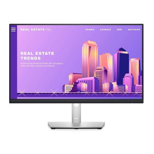 Dell Monitor 23.8 Zoll (60.5 cm) (P2422H)