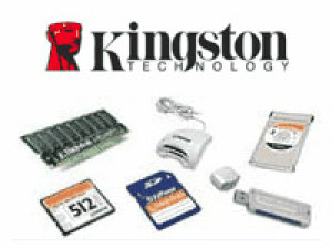 Kingston SNV3SM3/500G-Disques SSD