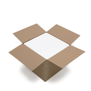 27 Premium Polystyrene Shipping Boxes 23.4L - Inner & Outer Boxes - 314 x 314 x 237 mm Internal - 60 mm Thick Walls - Kite Packaging