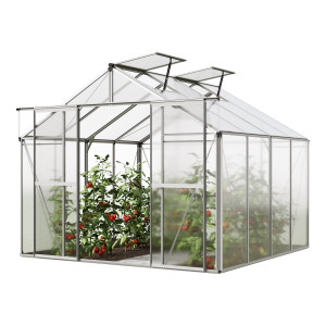 256 x 256 cm Gewächshaus, ohne Setangebot   6 mm - (GFPV00740)