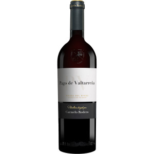 Carmelo Rodero »Pago de Valtarrena« Reserva 2022 15% Vol. Rotwein Trocken aus Spanien