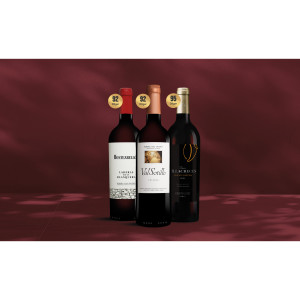 Ribera del Duero-Paket Weinpaket  aus Spanien