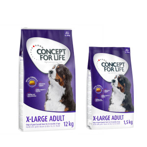 12 + 1,5 kg gratis! Concept for Life, karma sucha, 13,5 kg - X-Large Adult
