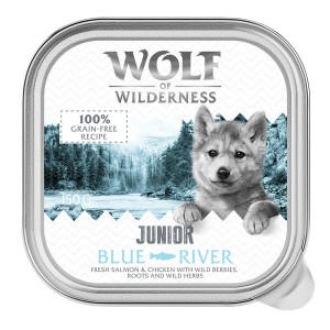 Wolf of Wilderness JUNIOR - Duo-Protein 6 / 24 x 150 g tacki - 24 x 150 g Blue River - Kurczak i łosoś