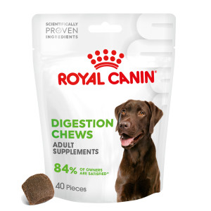 Royal Canin Digestion Adult Supplement Chews - 2 x 160 g (80 sztuk)