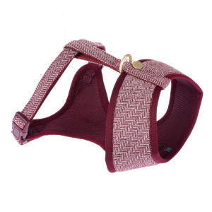Nomad Tales Calma, szelki, burgundowe - Rozmiar S: obwód klatki piersiowej 32 - 46 cm