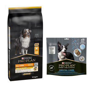 PURINA PRO PLAN: karma sucha dla psa, 12 kg / 14 kg + przysmaki dla psa gratis! - All Sizes Adult Light/Sterilised, kurczak i ryż, 14 kg + Dental Care Medium Dog, 345 g