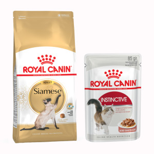 Zestaw Royal Canin Breed, 4 kg + 12 x 85 g karmy mokrej Royal Canin - Siamese Adult + Instinctive w sosie, 12 x 85 g