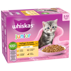 Pakiet mieszany Whiskas Junior, saszetki, 12 x 85 g - Wybór dań drobiowych w galarecie