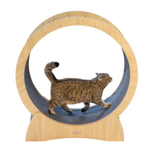 Kerbl Pet kołowrotek dla kotów - Ø 90 cm