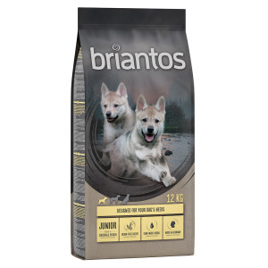 Briantos Junior, kurczak z ziemniakami, bez zbóż - 12 kg