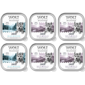 Wolf of Wilderness JUNIOR - Duo-Protein 6 / 24 x 150 g tacki - 24 x 150 g: 16x kaczka i cielęcina, 8x kurczak i łosoś