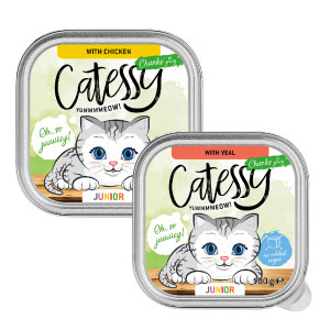 Catessy Junior kawałeczki w sosie, pakiet mieszany 2 smaki - 32 x 100 g