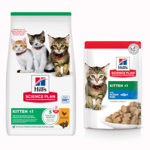 Zestaw Hill's Science Plan Kitten, 7 kg + 12 x 85 g - Kitten, kurczak + ryba morska