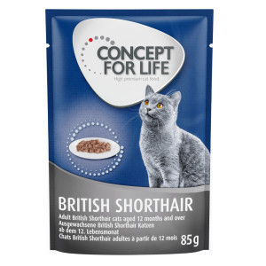Concept for Life British Shorthair Adult, ragout - 48 x 85 g
