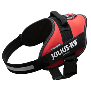 JULIUS-K9 IDC® Power szelki dla psa, czerwone - Rozm. XL: obwód klatki piersiowej 71 - 96 cm