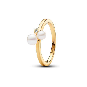 Damenring Pandora Timeless 163156C01-58
