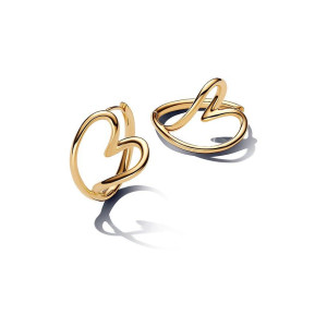 Pandora Creolen Essence 263807C00
