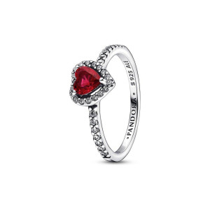Pandora Damenring Timeless 198421C02-60