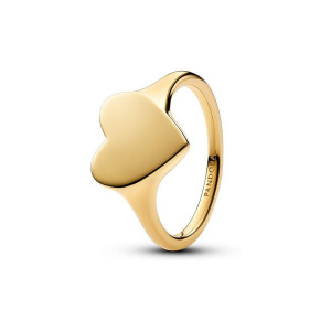 Pandora Damenring Moments 163988C00-56